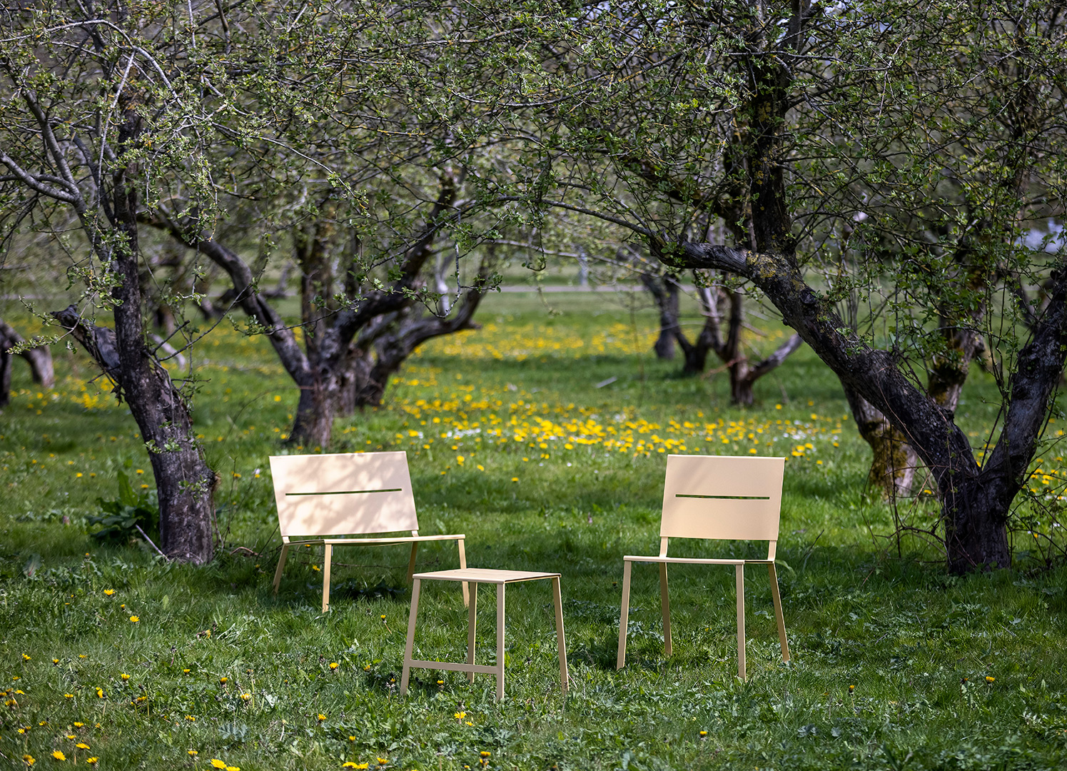 Loungestol, stol og taburet i stål står under æbletræer